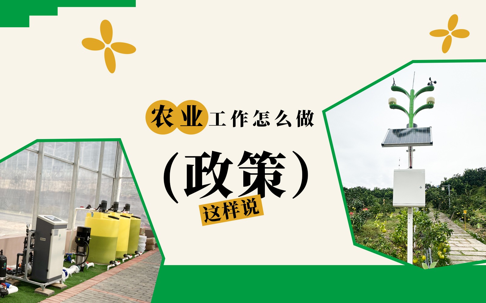 农业工作怎么做？这些政策说了！
