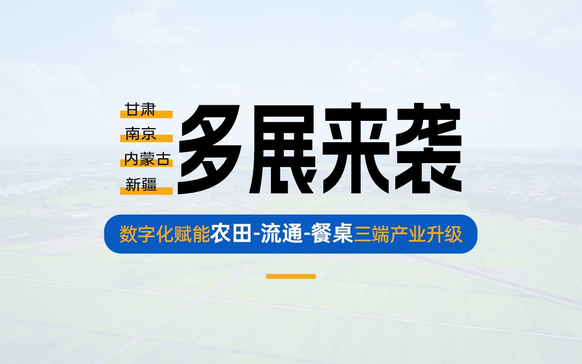 盛夏多展来袭，共探产业数字化新路径