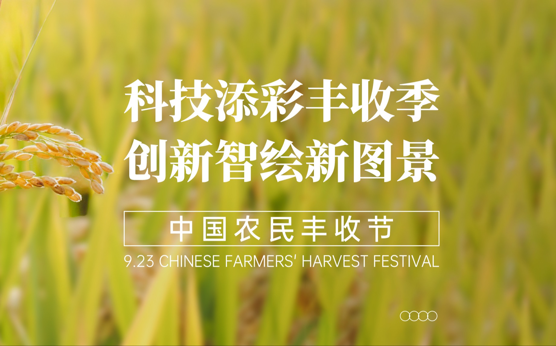 科技添彩丰收季，创新智绘新图景！